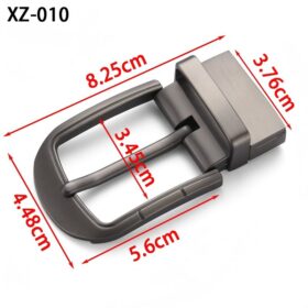 XZ010